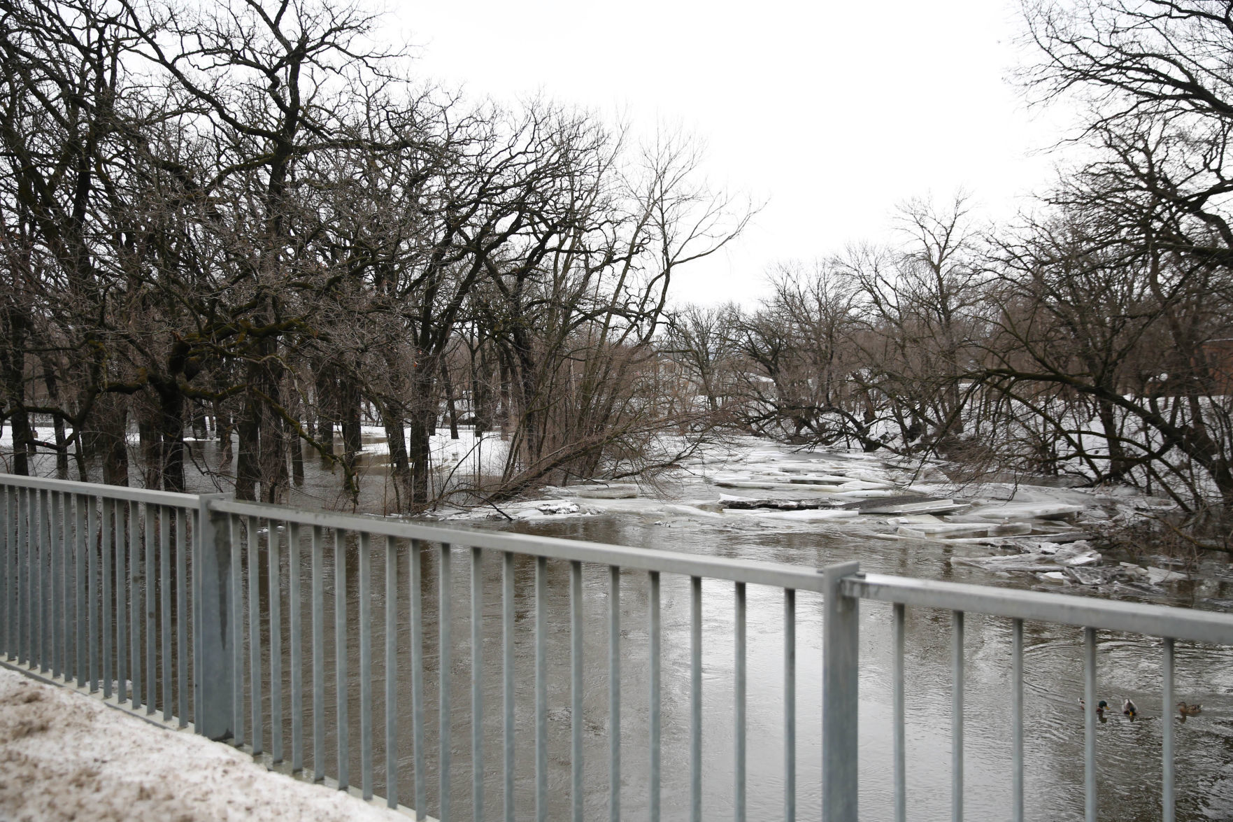 Flooding